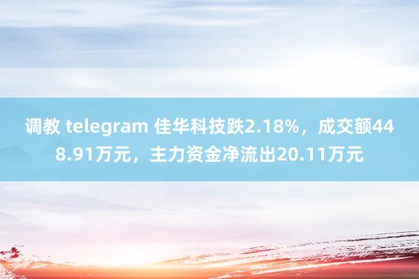 调教 telegram 佳华科技跌2.18%，成交额448.91万元，主力资金净流出20.11万元