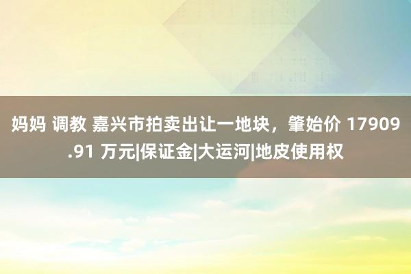 妈妈 调教 嘉兴市拍卖出让一地块，肇始价 17909.91 万元|保证金|大运河|地皮使用权