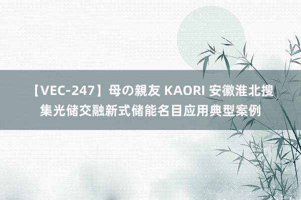 【VEC-247】母の親友 KAORI 安徽淮北搜集光储交融新式储能名目应用典型案例