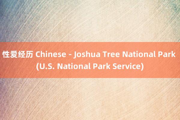 性爱经历 Chinese - Joshua Tree National Park (U.S. National Park Service)