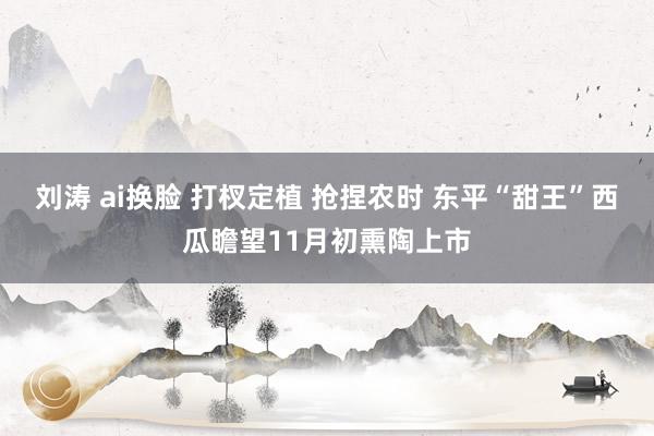 刘涛 ai换脸 打杈定植 抢捏农时 东平“甜王”西瓜瞻望11月初熏陶上市