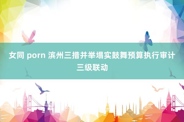 女同 porn 滨州三措并举塌实鼓舞预算执行审计三级联动