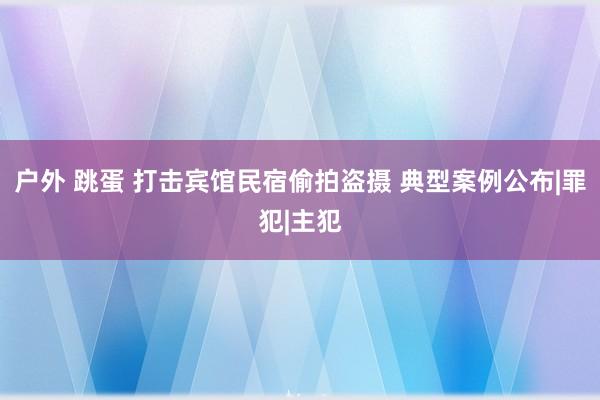 户外 跳蛋 打击宾馆民宿偷拍盗摄 典型案例公布|罪犯|主犯